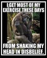 shake.jpg