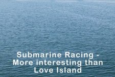subs.jpg