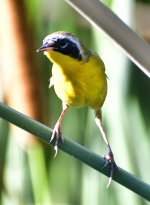 _ROY9213_00001.jpg
