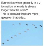 67799275_1127562654095421_3763459578381991936_n.jpg
