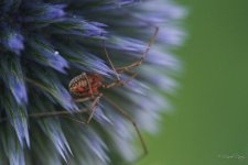 2MC_0591_00006.jpg