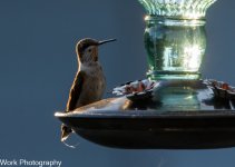 untitled-0342.jpg