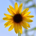_ROY9510_00001.jpg