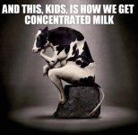 milk.jpg