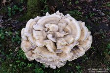 _10K1115 low res.jpg