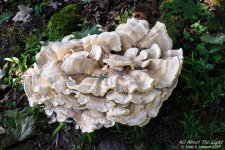 _10K1116 low res.jpg