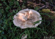 _10K1117 low res.jpg