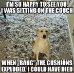 61698ABD-E0D3-4A6A-8C8E-DF3B612E5A9F.jpeg