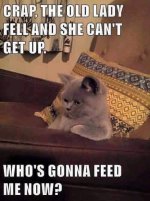 food.jpg