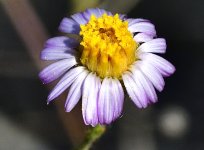 _ROY0088_00001.jpg