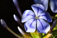 _ROY0093_00001_01.jpg