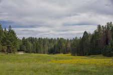 08-18-19-cr__7500039.jpg