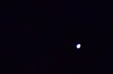 _ROY0486_00001.jpg