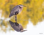 GBH-400.jpg