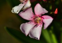 _ROY0541_00001.jpg