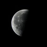 _ROY0556_00001.jpg