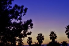 _ROY0941_00001_01.jpg