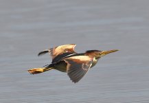 _ROY1205_00001.jpg