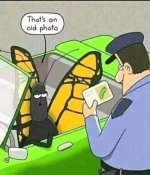 Caterpillar.jpg