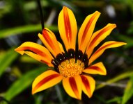 _ROY1294_00001.jpg