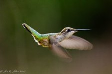20190825-_D717534.jpg