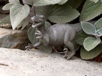 Reptile.jpg
