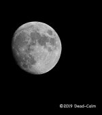 moon 500_9634.jpg