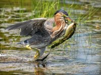 _NIK1045 low res.jpg