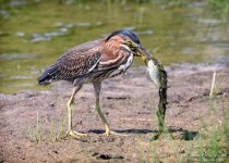 _NIK1046 low res.jpg