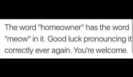 when-youre-a-homeowner.jpg