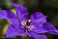 untitled-8160.jpg