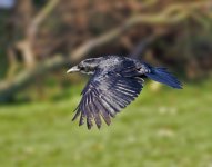 dsc_4045_23955148410_o.jpg