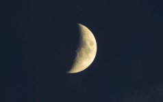 NIKON300-02.jpg