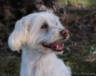 Cody-8361.jpg