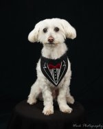 Cody-8392-2.jpg
