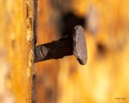Nail-402.jpg