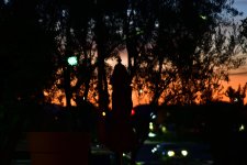 _ROY2749_01.jpg