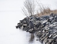 1 Heron on the rocks.jpg