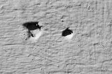 BWAbstract-402.jpg