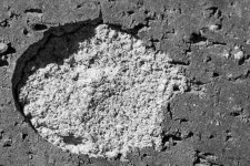 BWAbstract-405.jpg