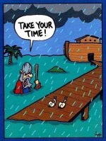 noah.jpg