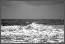 _71D0498.jpg