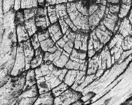 abstract-8926.jpg