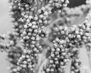 abstract-8928.jpg