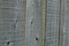 DSC_0267.jpg