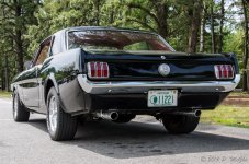 DSC_7222.jpg