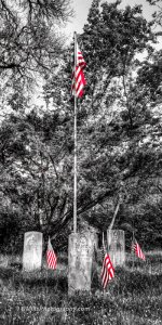 DSC_3682_6559_tonemapped-6.jpg