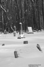 Bunn Hill Cemetery-130210-05F.jpg