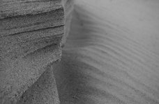 Anza Borrego Speaks, #2.jpg