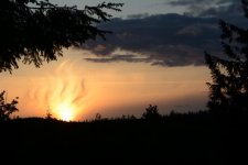 DSC_0045.jpg